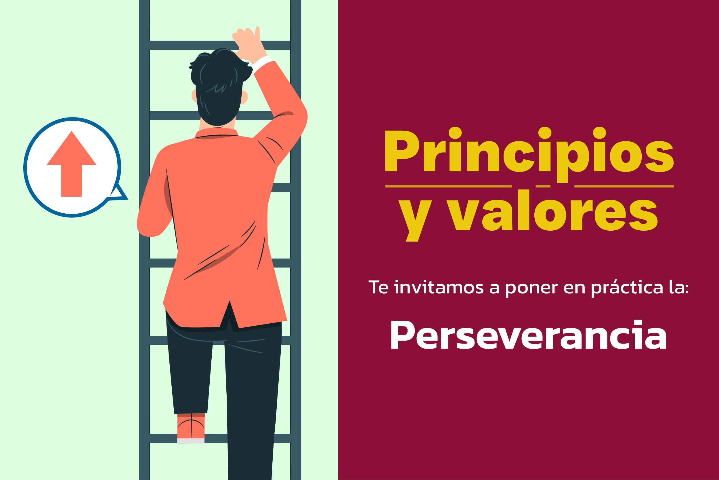 Bolet n Utec Al D a Bolet n Utec Al D a